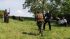 17  Duell Training