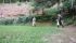 DSCN8107